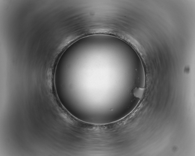 X0000102540345200808151648