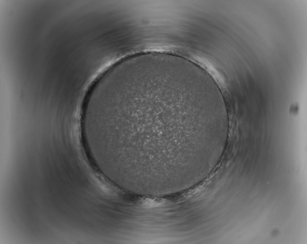 X0000102540346200808151648