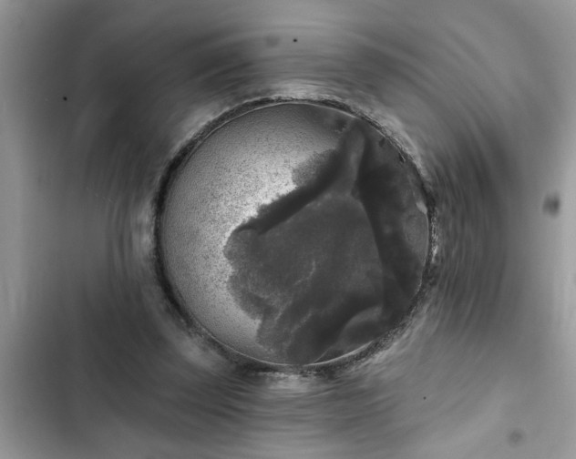 X0000102540347200808151648