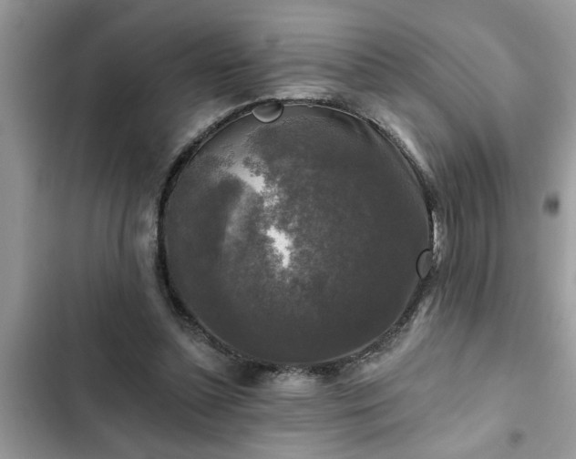 X0000102540348200808151648