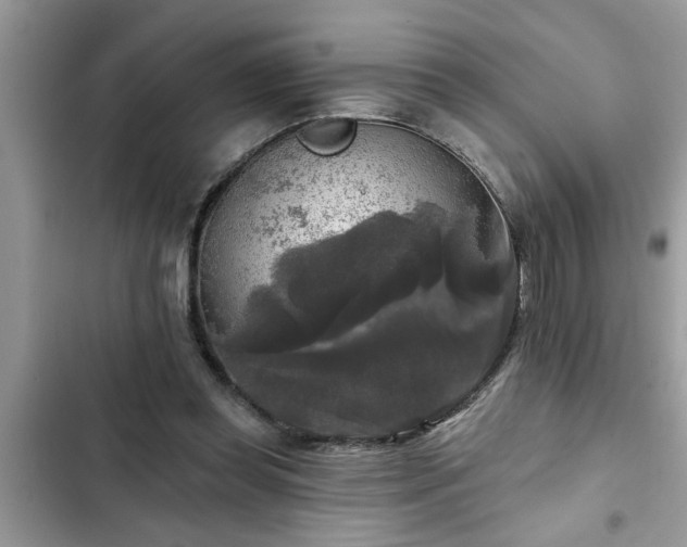 X0000102540349200808151648