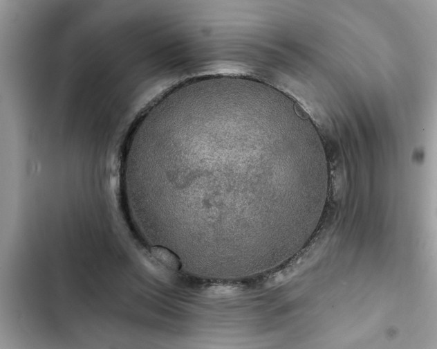 X0000102540350200808151648