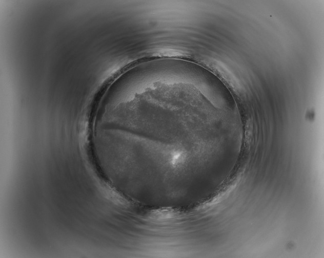 X0000102540351200808151648