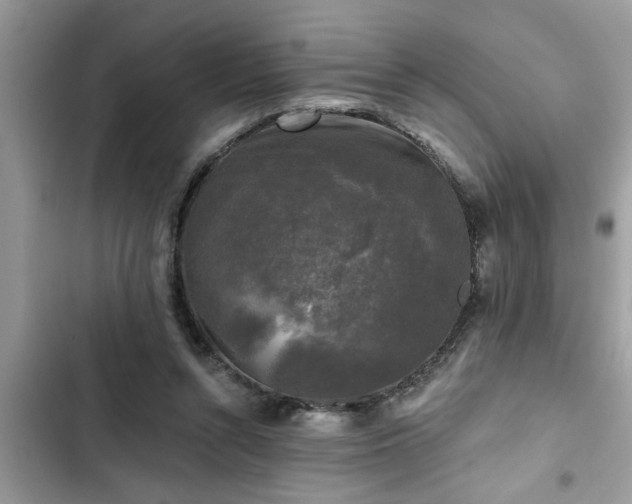 X0000102540352200808151648