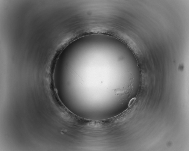 X0000102540354200808151648