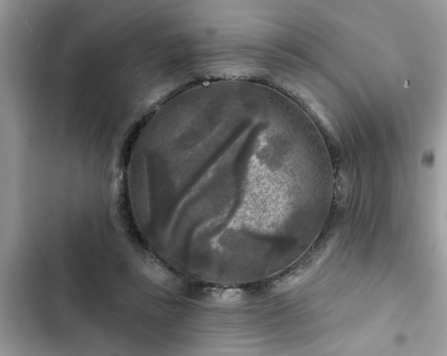 X0000102540355200808151648