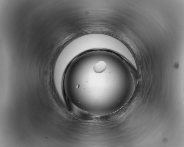 X0000102540356200808151648