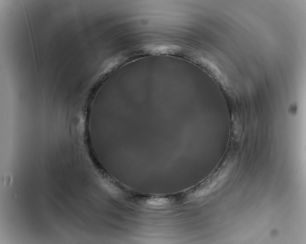 X0000102540357200808151648
