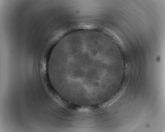 X0000102540358200808151648