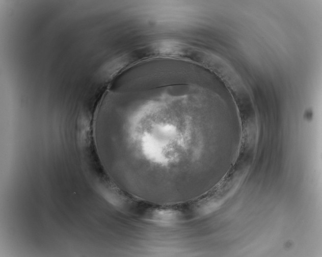 X0000102540360200808151648
