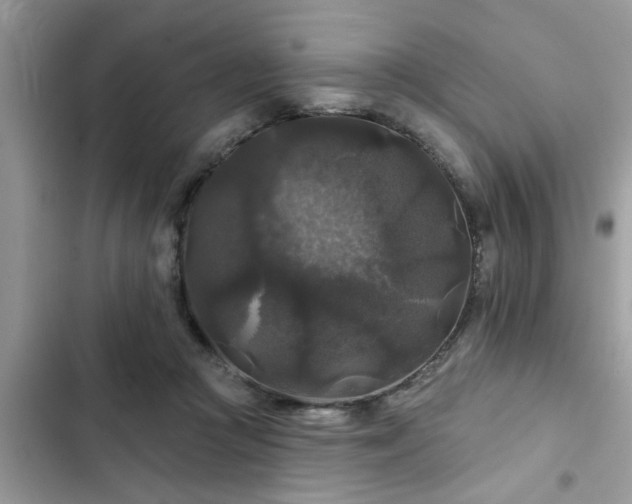 X0000102540361200808151648