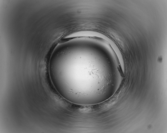 X0000102540362200808151648