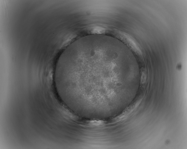 X0000102540363200808151648