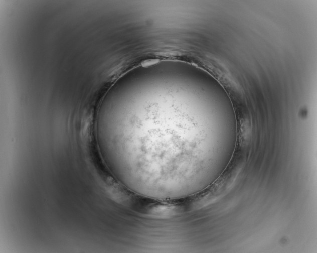 X0000102540364200808151648