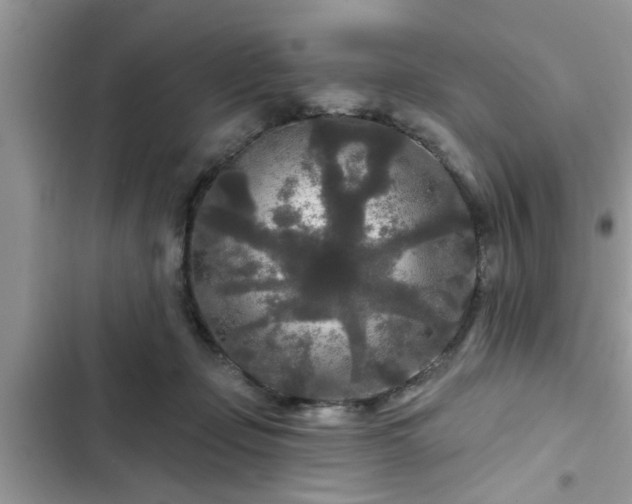 X0000102540365200808151648
