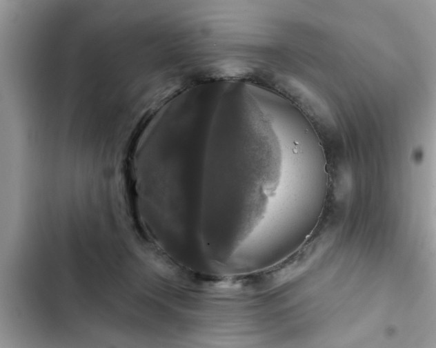 X0000102540366200808151648