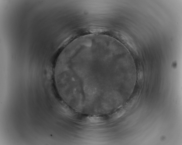 X0000102540367200808151648