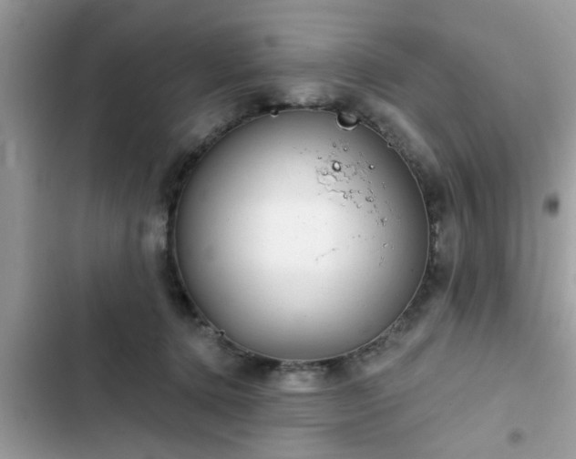 X0000102540368200808151648