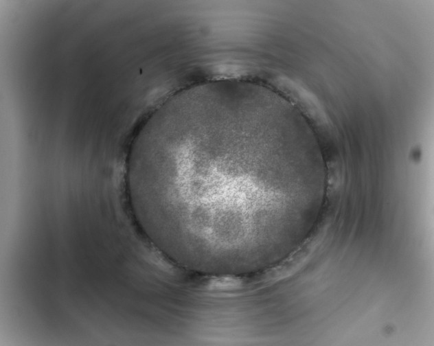 X0000102540369200808151648