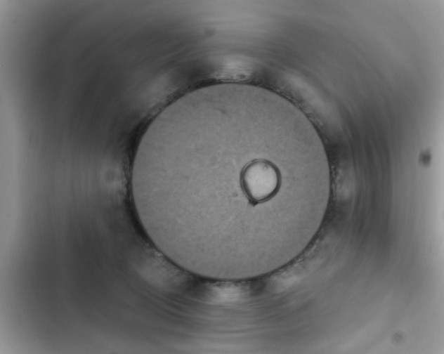 X0000102540370200808151648