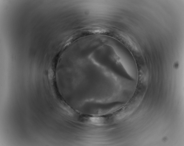 X0000102540371200808151648