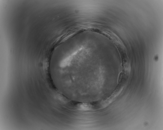 X0000102540372200808151648