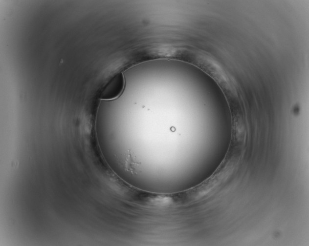 X0000102540374200808151648