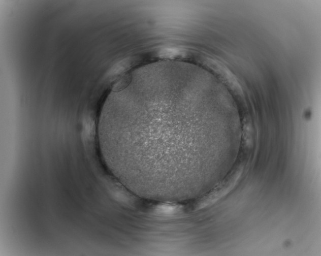 X0000102540375200808151648