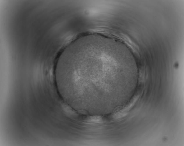 X0000102540377200808151648