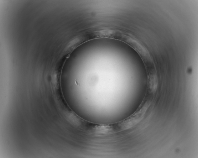 X0000102540378200808151648