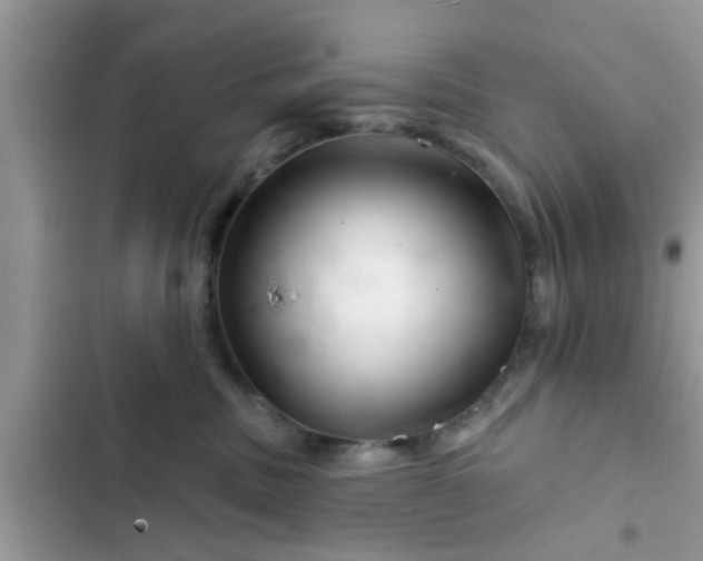 X0000102540379200808151648