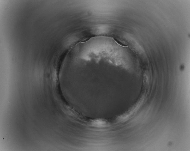X0000102540380200808151648