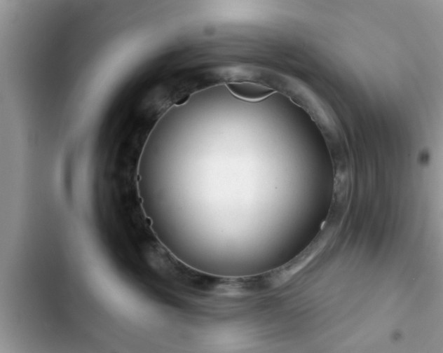 X0000102540381200808151648