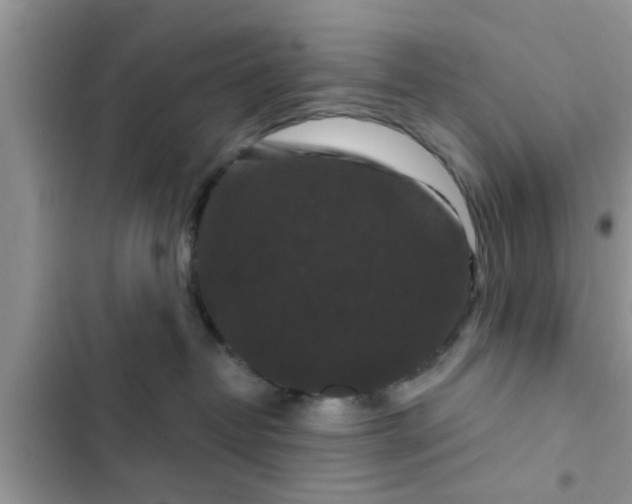 X0000102540382200808151648