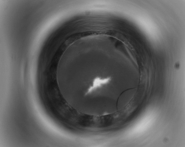 X0000102540383200808151648