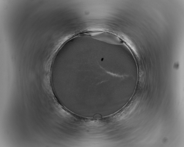 X0000102540385200808151648