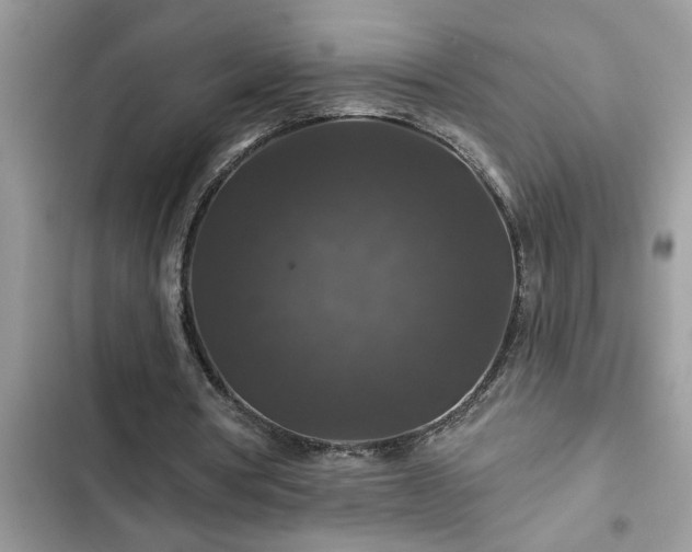 X0000102540386200808151648