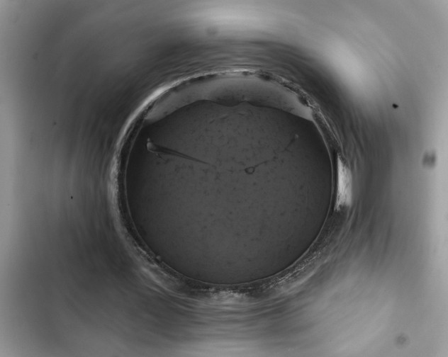 X0000102540387200808151648