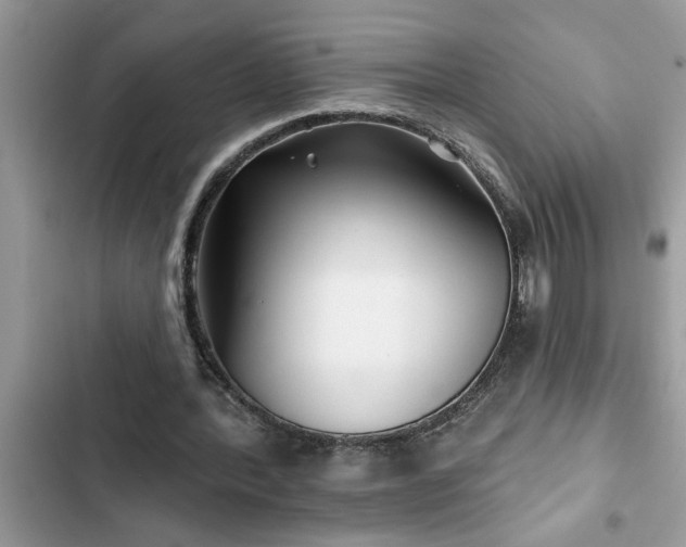 X0000102540388200808151648