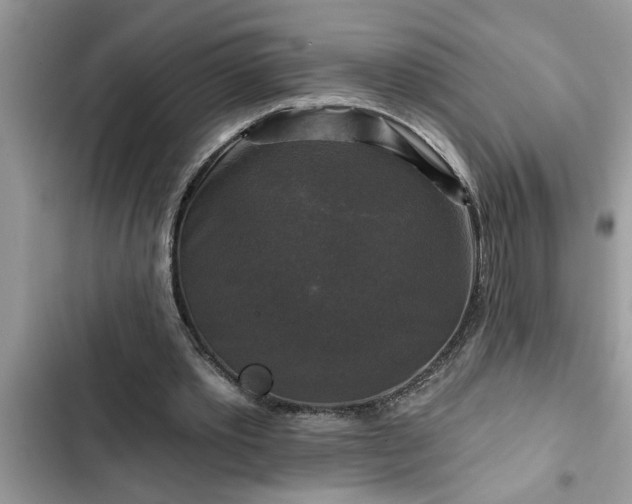 X0000102540389200808151647