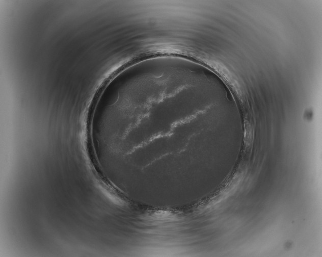 X0000102540390200808151647