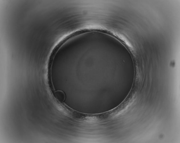 X0000102540391200808151647