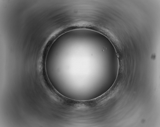 X0000102540392200808151647