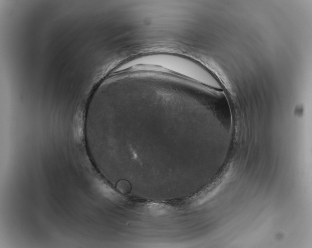 X0000102540393200808151647