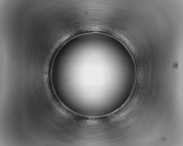 X0000102540394200808151647