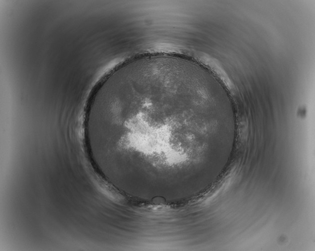 X0000102540395200808151647
