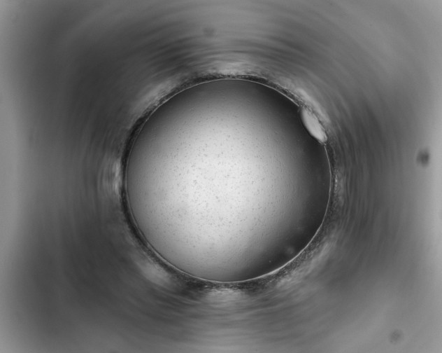 X0000102540397200808151647
