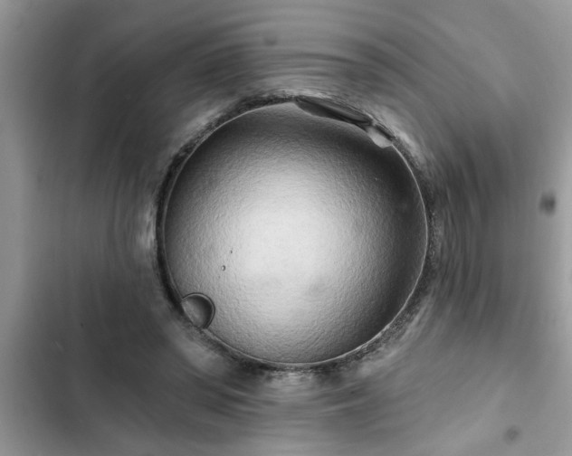 X0000102540398200808151647