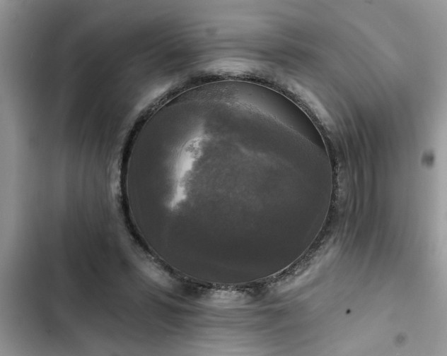 X0000102540399200808151647