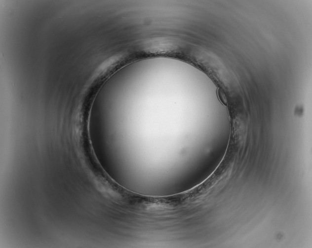 X0000102540400200808151647